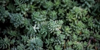 Blockchain Beyond Cryptocurrency